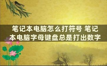 笔记本电脑怎么打符号 笔记本电脑字母键盘总是打出数字